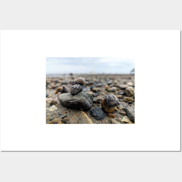 Snail and Rocks Wall Art by searchlight